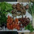 2012-02-01-legumes