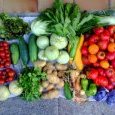 2012-08-01-legumes