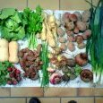 2012-11-07-legumes