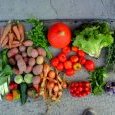 2012-09-05-legumes