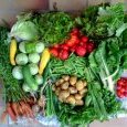 2012-07-04-legumes
