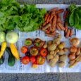 2012-09-19-legumes