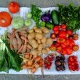 2012-08-22-legumes