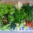 2012-06-06-legumes