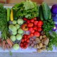 2012-07-18-legumes