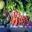2012-10-24-legumes