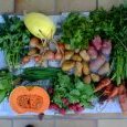 2012-09-26-legumes
