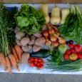 2012-09-12-legumes