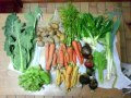 2012-01-04-legumes