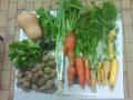 2012-01-11-legumes