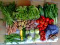 2012-07-11-legumes
