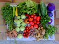 2012-07-18-legumes