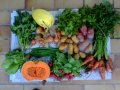 2012-09-26-legumes