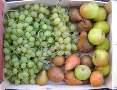 2012-09-12grand_panier_fruits­